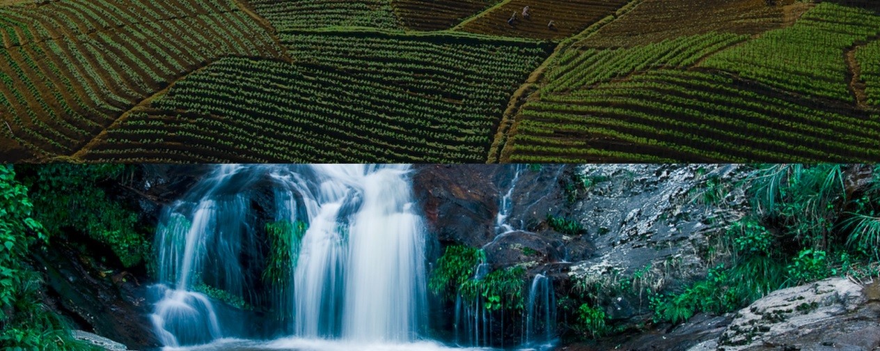 9 předpovědí webového designu pro rok 2017 a dále 2 Ukázka přechodu mezi dvěma prvky